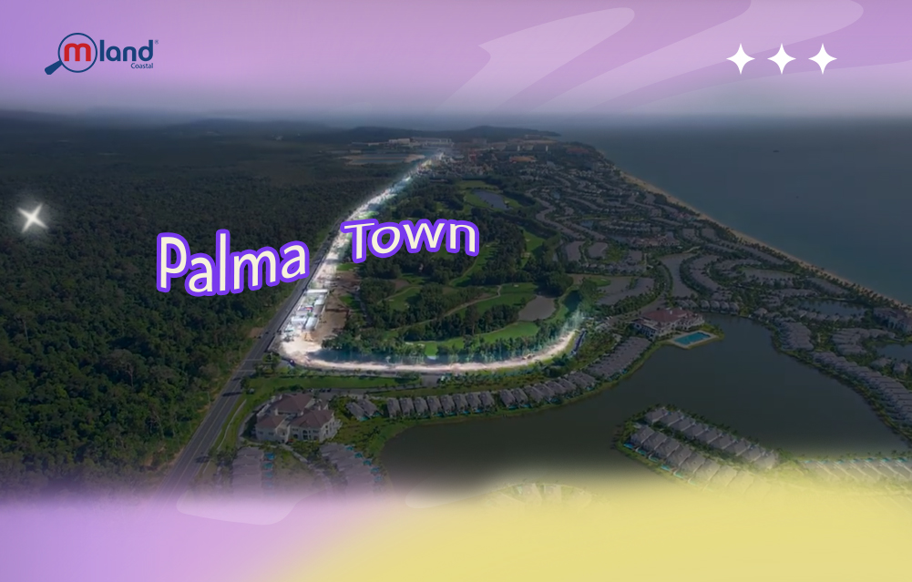 Vị trí thực tế toàn cảnh của Palma Town